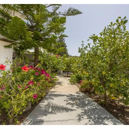 Apartment Maggano Paros 3 Angairia